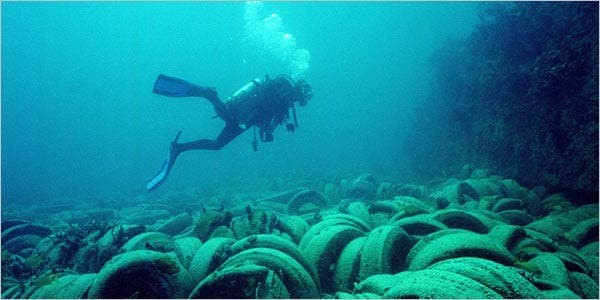 Tires Meant to Foster Sea Life Choke It Instead - The New York Times